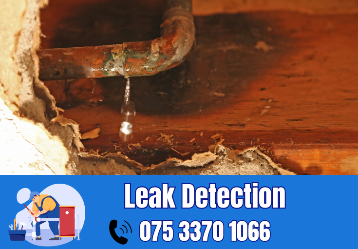leak detection Ashford