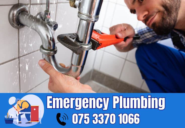  plumber Singleton